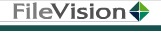 FileVision